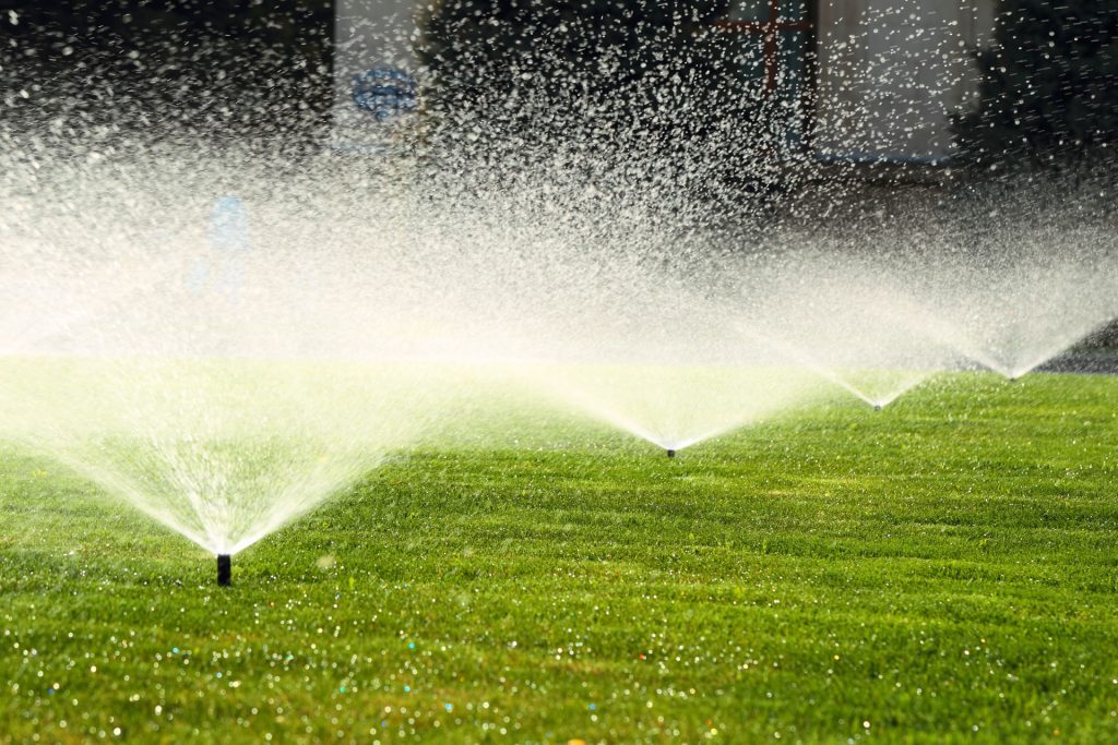 garden sprinkler on a sunny summer day during watering the green lawn